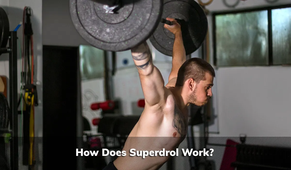 How Does Superdrol Work?